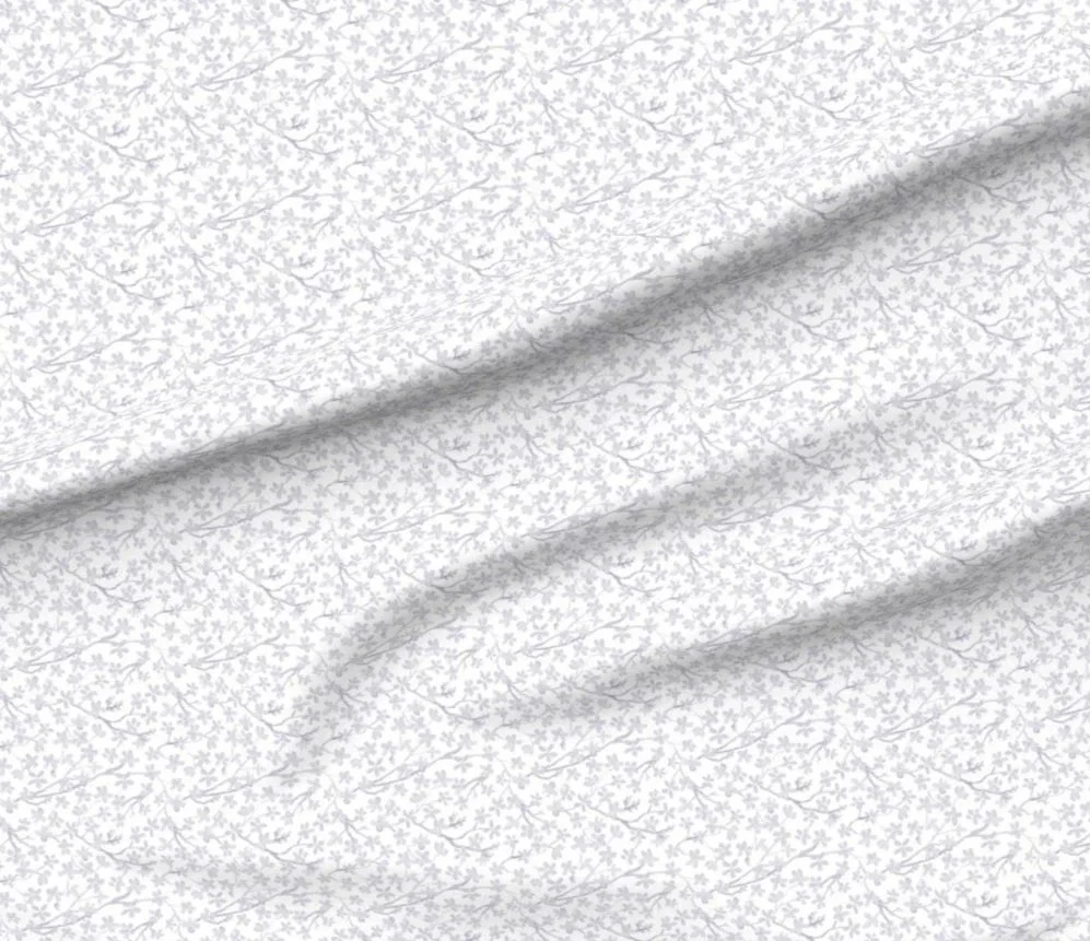 23273035.jpg
