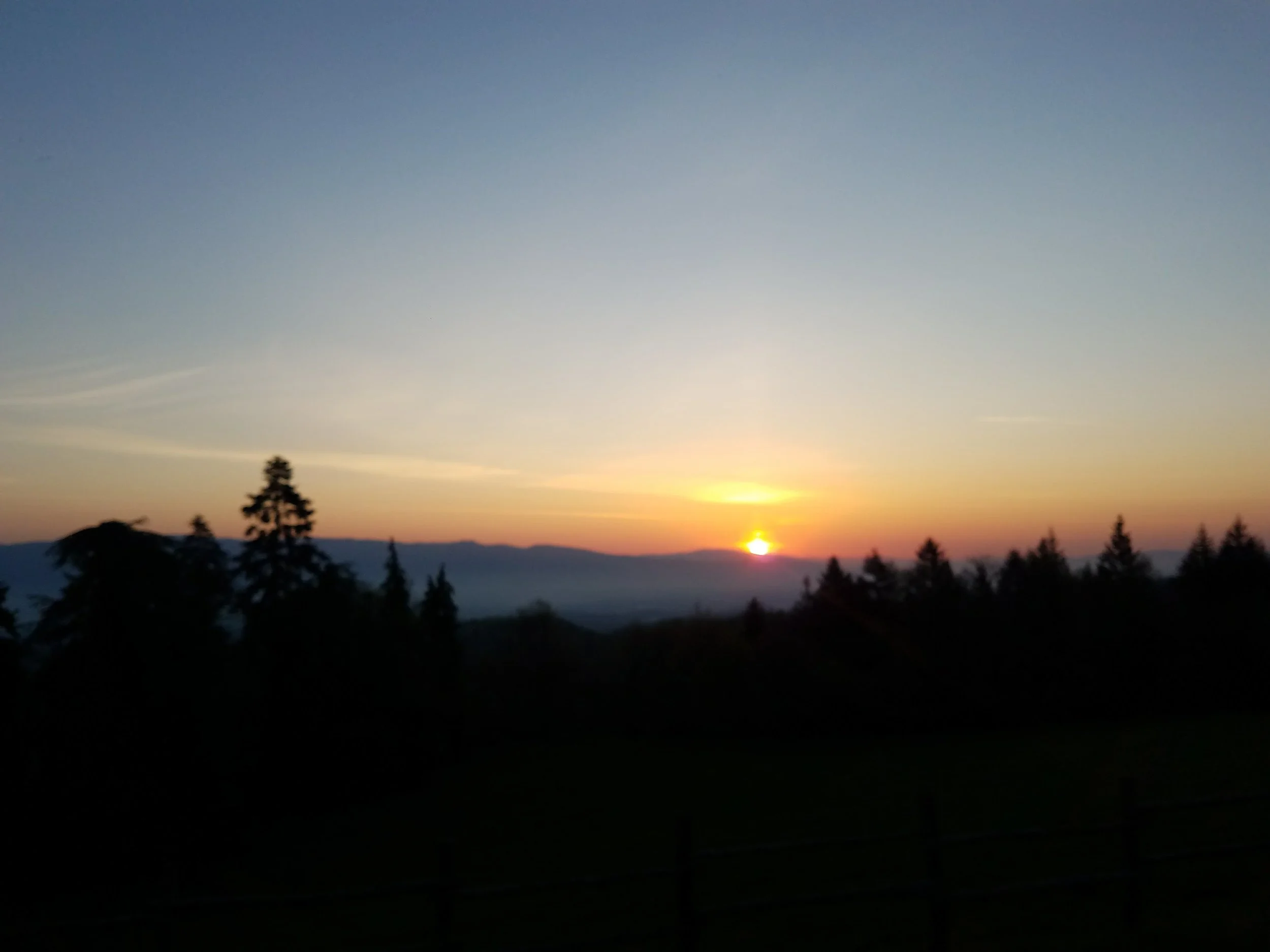 Italy Day 5 Florence