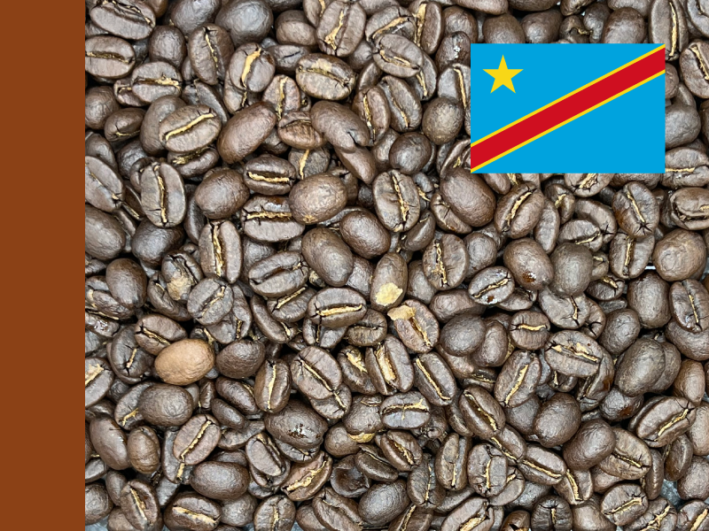 D.R. Congo-01.png