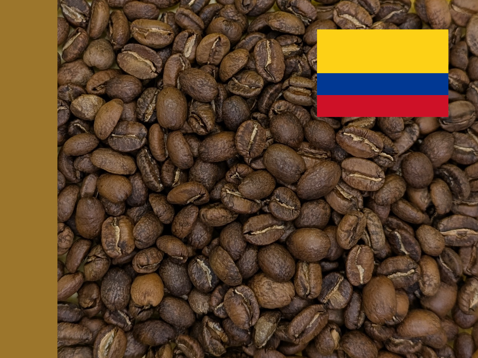 Colombia Geisha.png