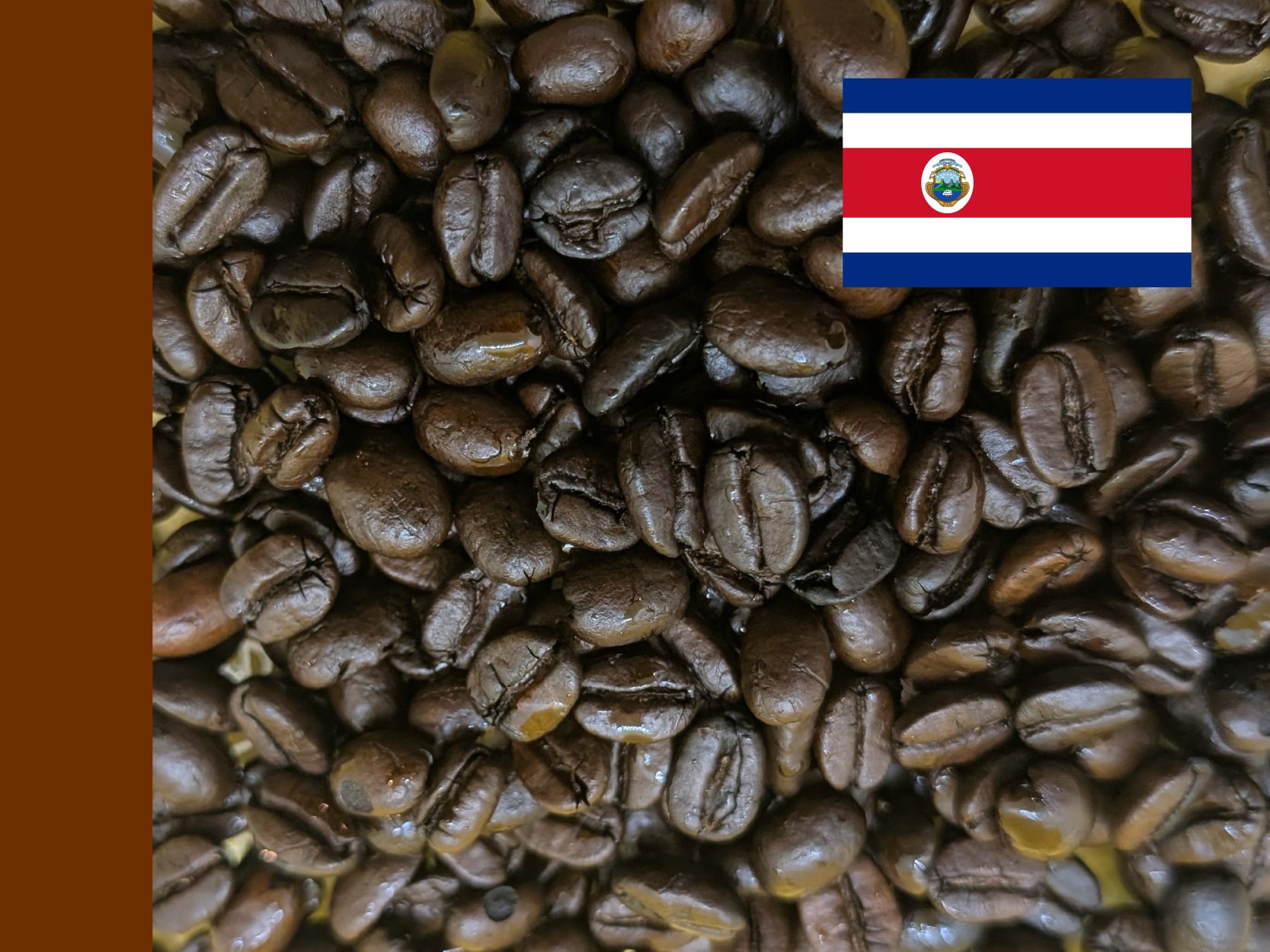 Costa Rica Tarazu Washed
