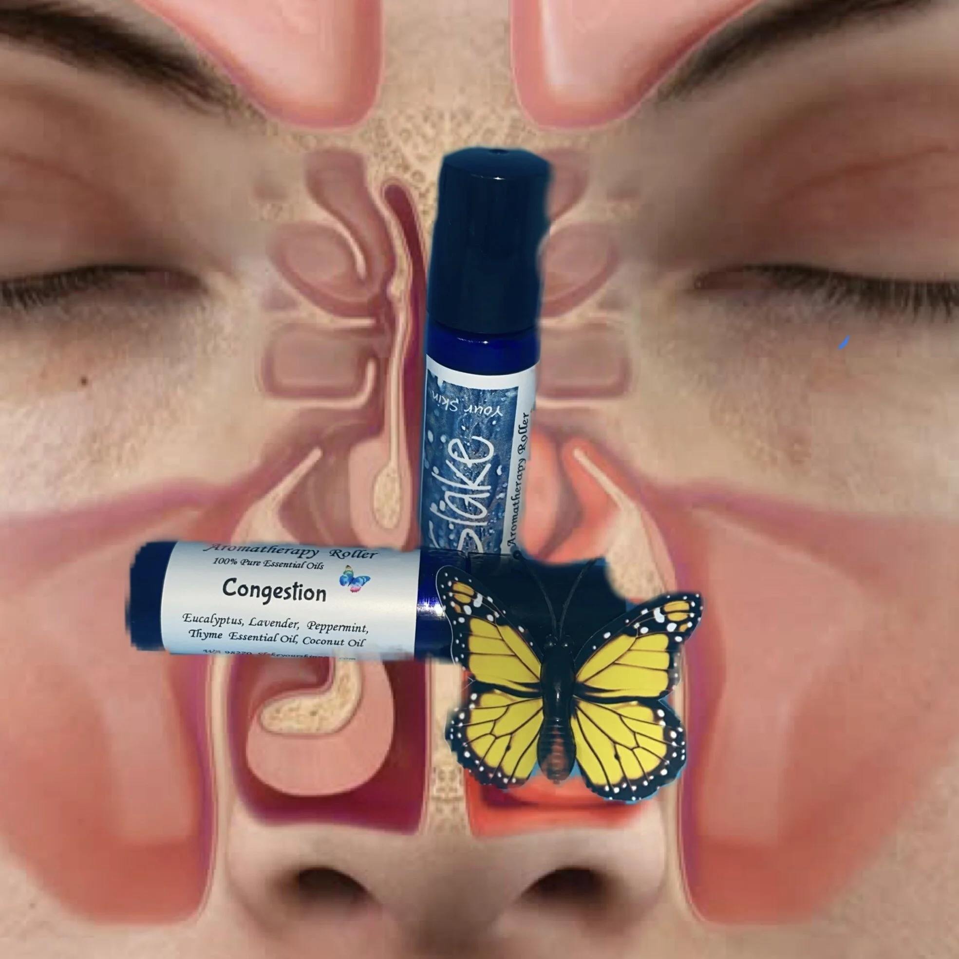 5164DB3E-705C-451A-BF02-EB006E6EAA91