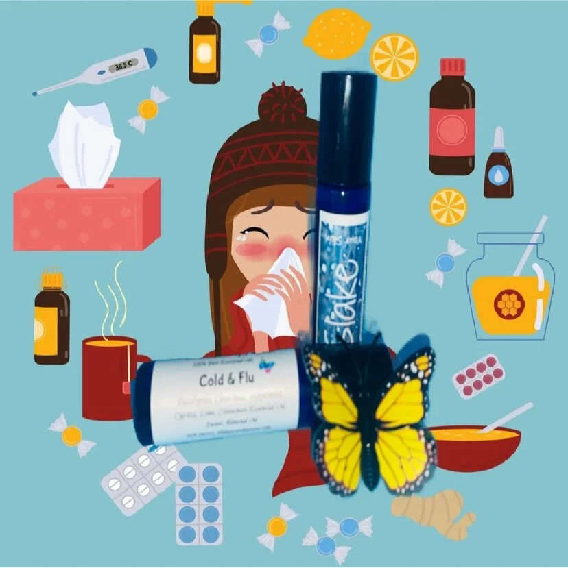 76D8933F-05C1-4E68-8122-303F613415F5