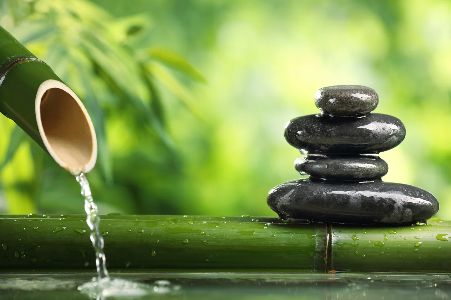 Peaceful fountain scene. A person who is not preoccupied with his emotional baggage—be that anxiety, lack of self-confidence, or shyness— is fully available to his partner