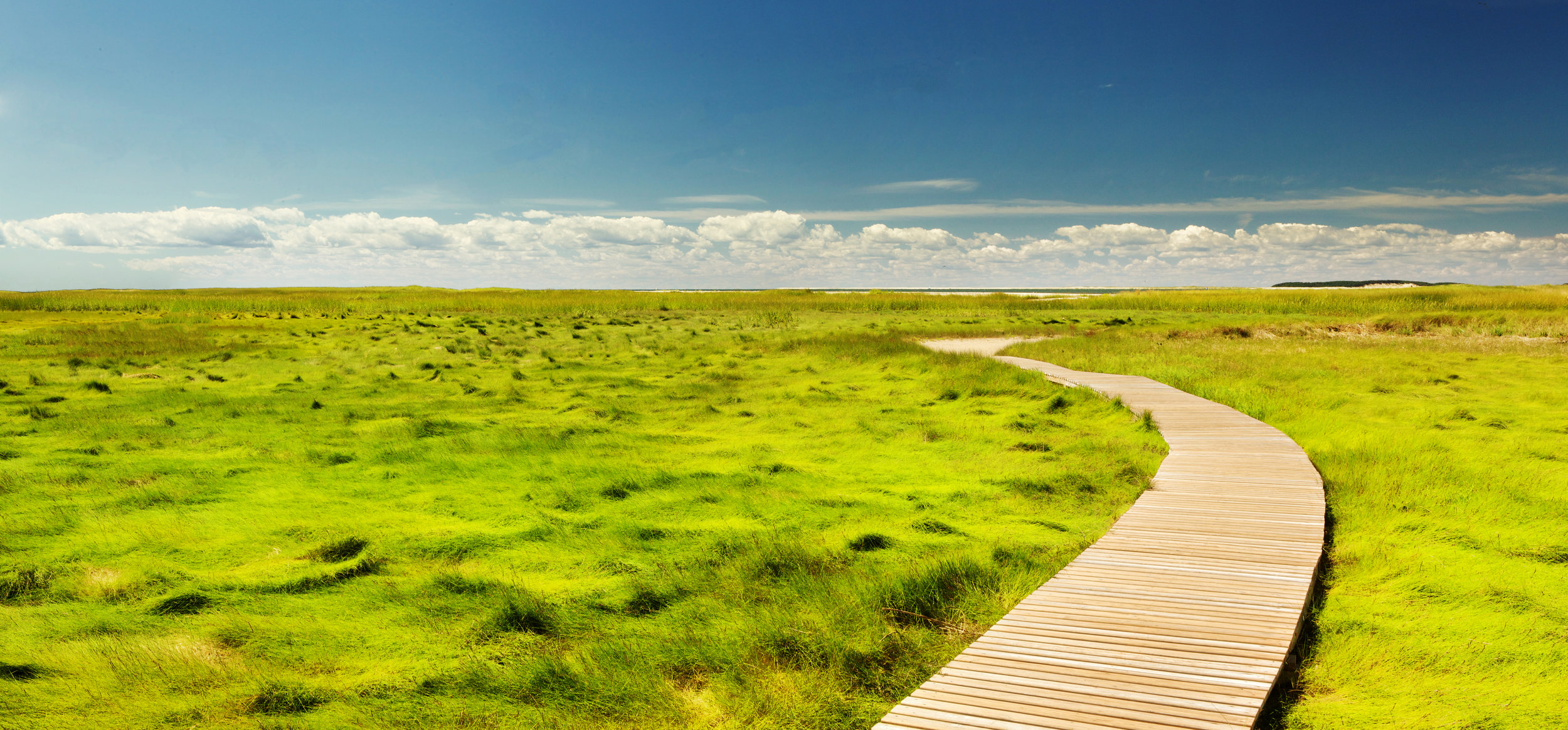 Boardwalk through a grassy field with blue skies on the horizon. A free and beautiful landscape for seeking resolution to past traumas, anxiety treatment, overcoming phobias, relieving stress, overcoming anger, increasing self confidence, healing chronic physical symptoms. Stop feeling hopeless.