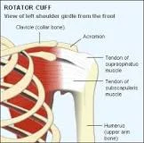  Impingement Syndrome 