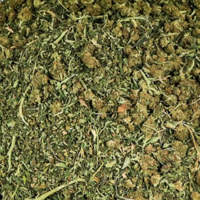 ground-hemp.jpg