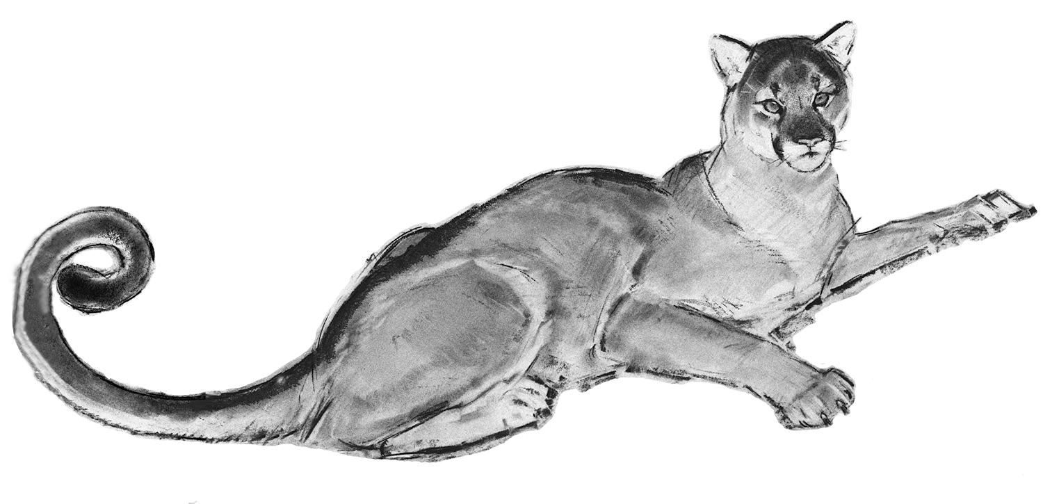 Lion Tree Plumpjack_B+W-Tail.png