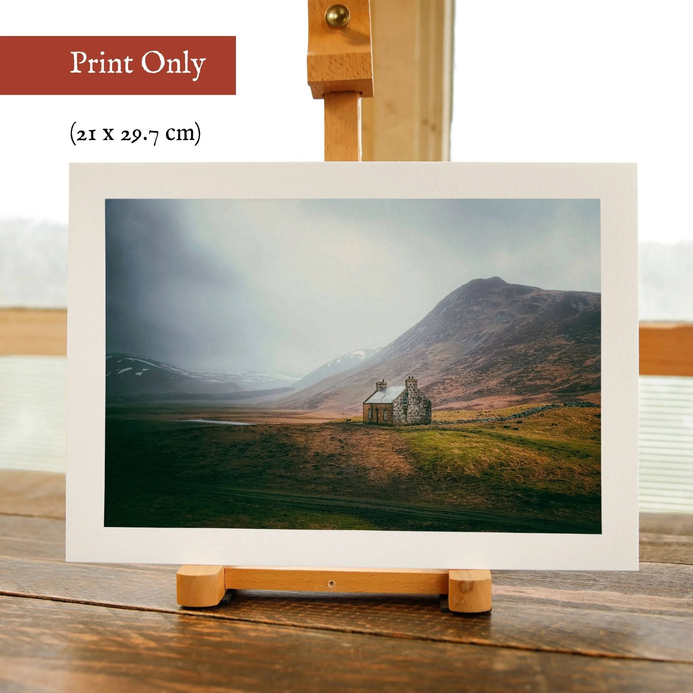 Print Only.jpg