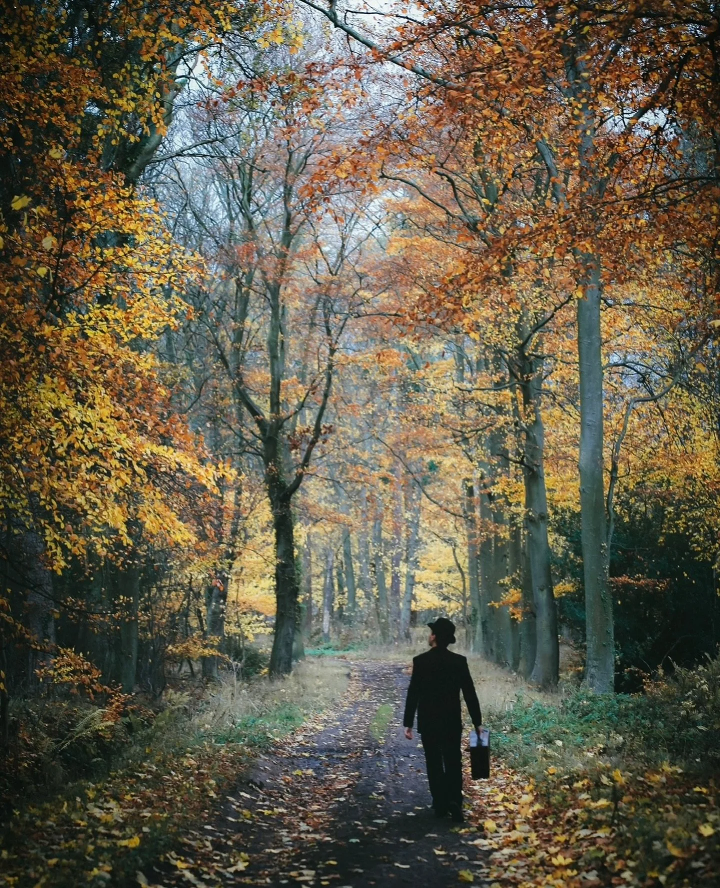 Just filling my neglected Instagram feed of past Autumn 🍂 Hey&hellip; insta. I&rsquo;ve finally found a random spare hour to check in. #autumn #ohhashtagsdontmatteranymore #scotland are you still trending?