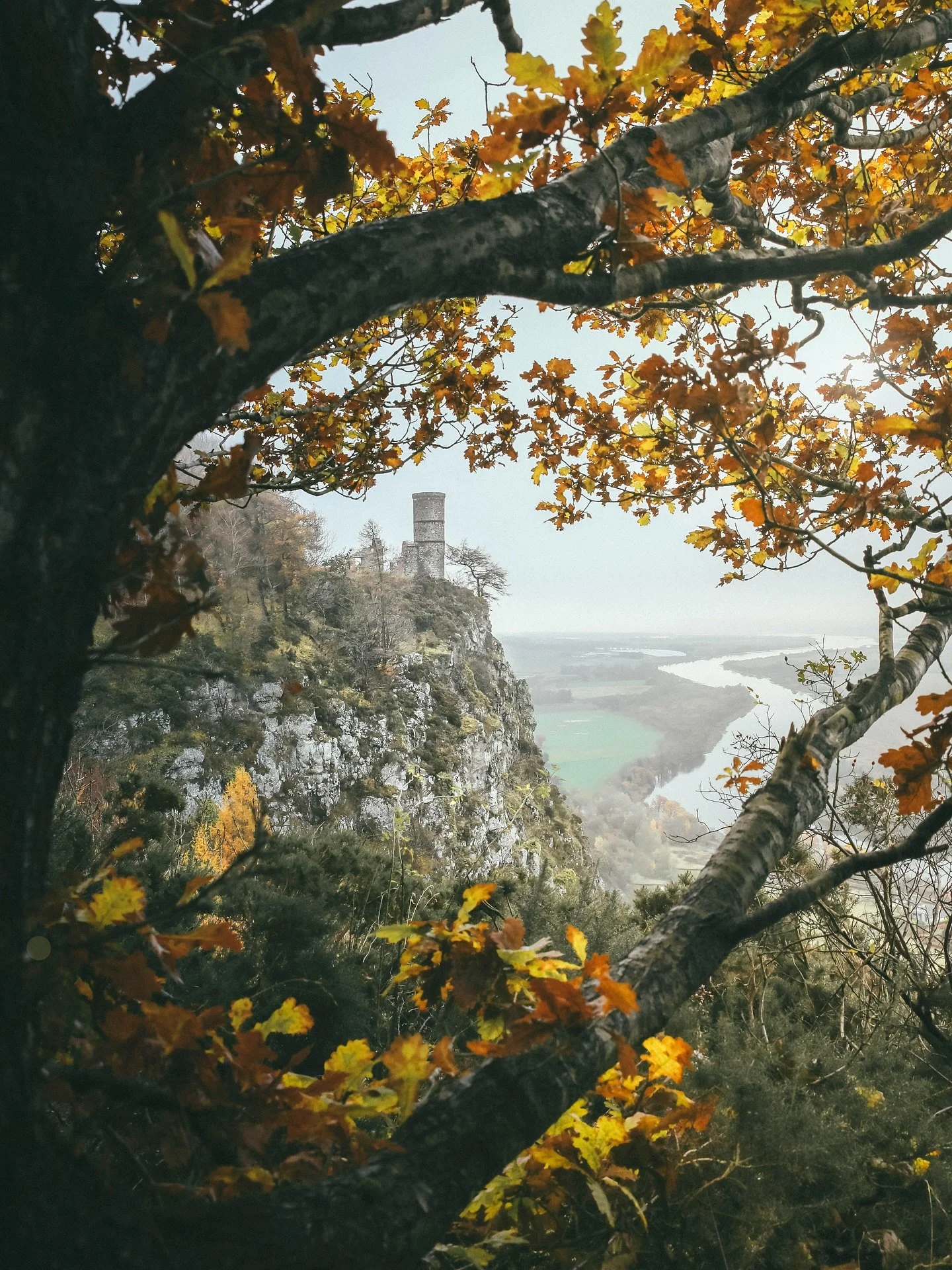 Just realised my autumn image dump is also being broadcast on threads. So I really should accompany this warm fuzzy fairytale image of  #Kinnoullhill with a thoughtful observation of the world that will gain me a following of likeminded individuals B