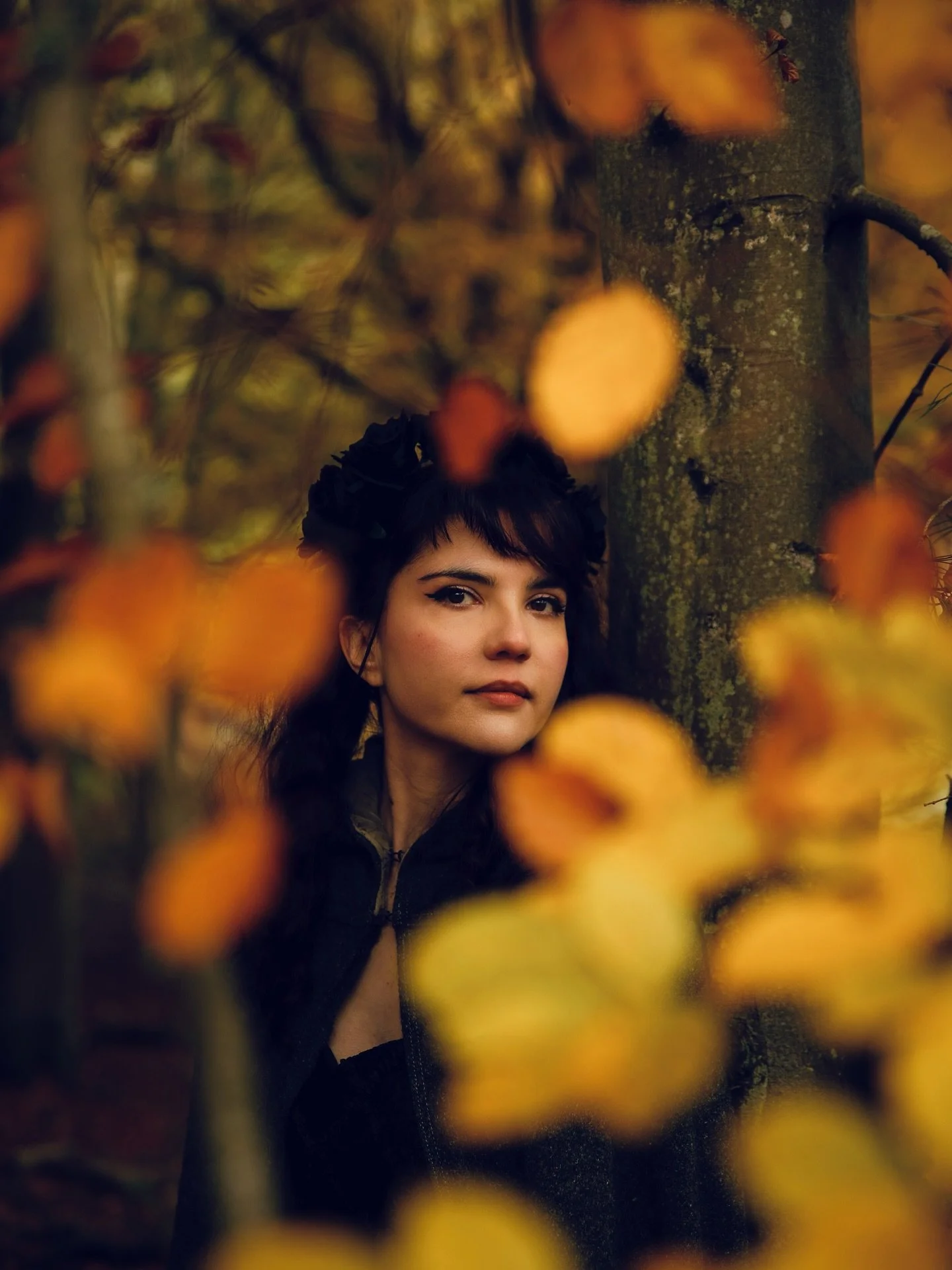 To end the season nicely a few shots from a recent 📸venture up the hill with Seraphima. 😊 The forest really is my spiritual home. 🐨❤️ #kinnoullhill