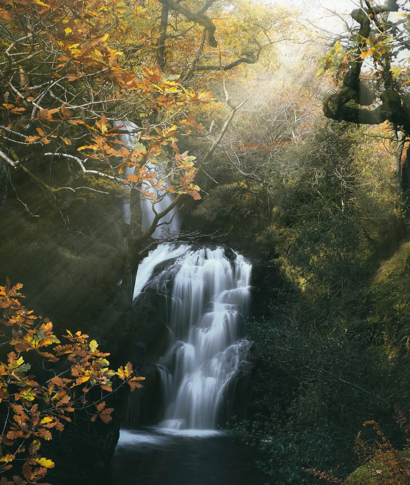 Friday peri-menopausal thought&hellip;. Do protest songs of the late 60s - early 70s hit harder now? 🎶 Maybe it&rsquo;s just my scrambled brain. I totally lost the plot listening to Marvin Gaye yesterday afternoon. Songs Ive known all my life&hellip