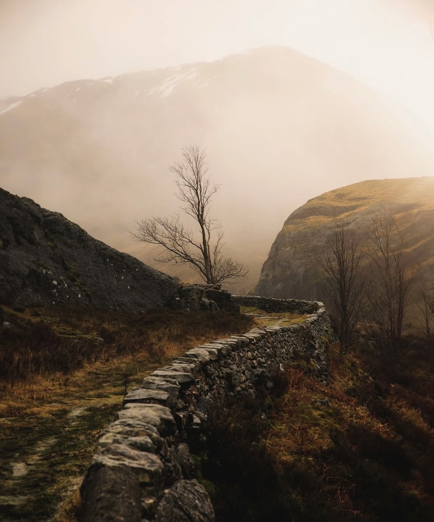 Since a lot of websites are down just now due to another &lsquo;global incident&rsquo; (sigh 2025) it&rsquo;s time for some &lsquo;Lily Pad Hopping&rsquo; with a brief quick post to my long lost Instagram&hellip; before walking the dog! 🐕 #cloudfare