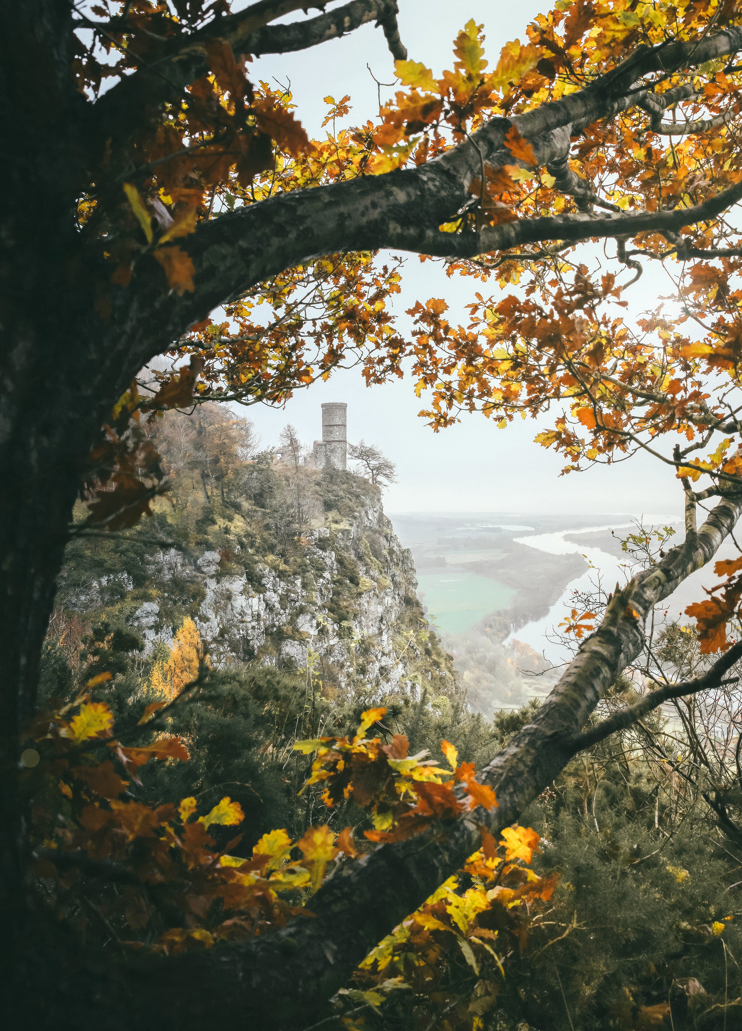 Kinnoull Hill.jpg