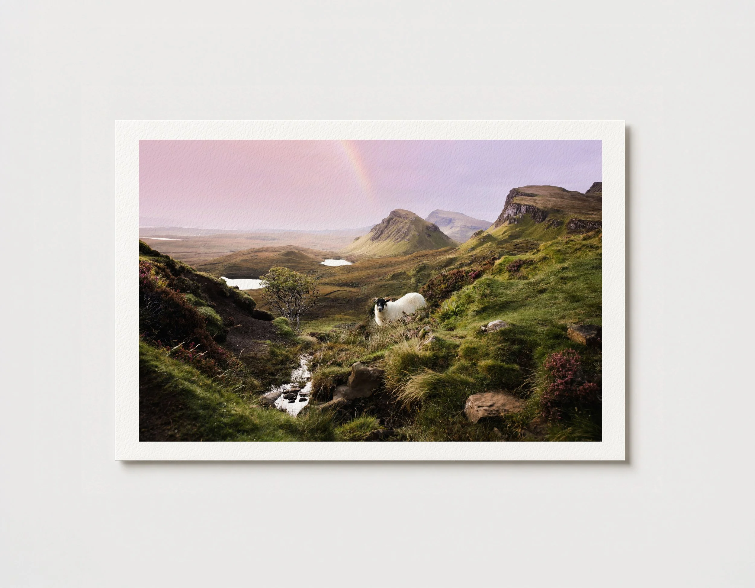Sheep at the Quiraing