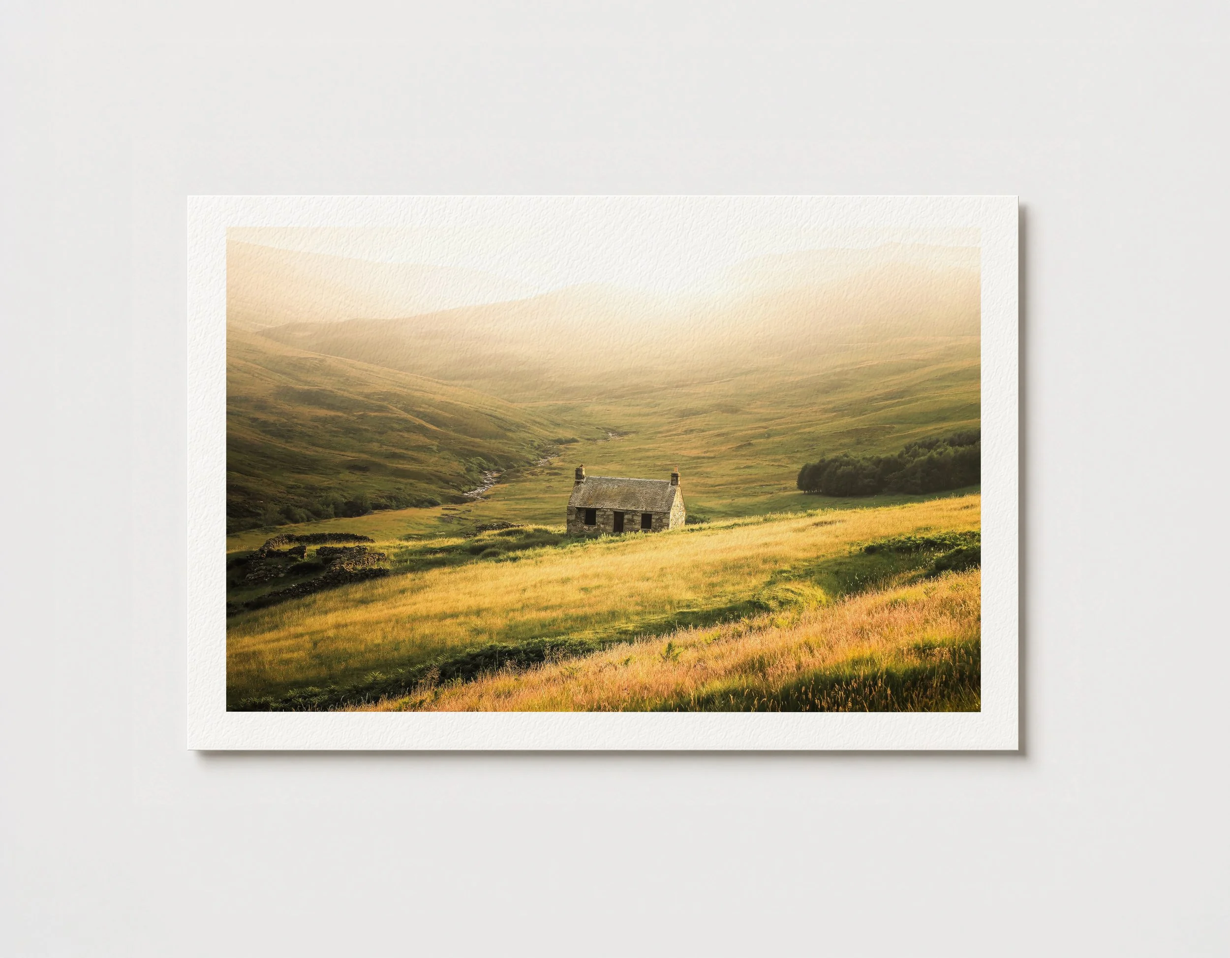 Golden Bothy