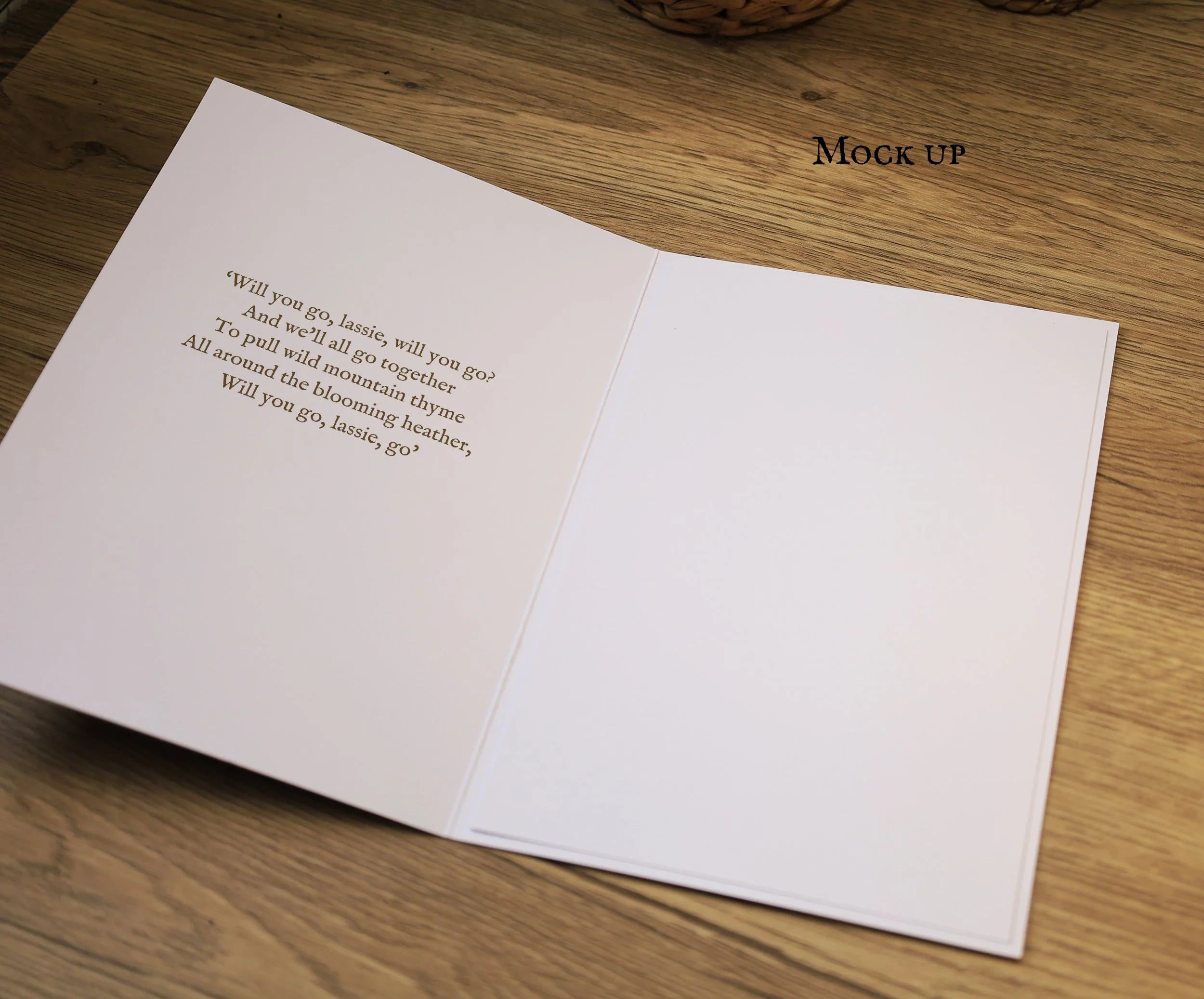 Mock up insert.jpg