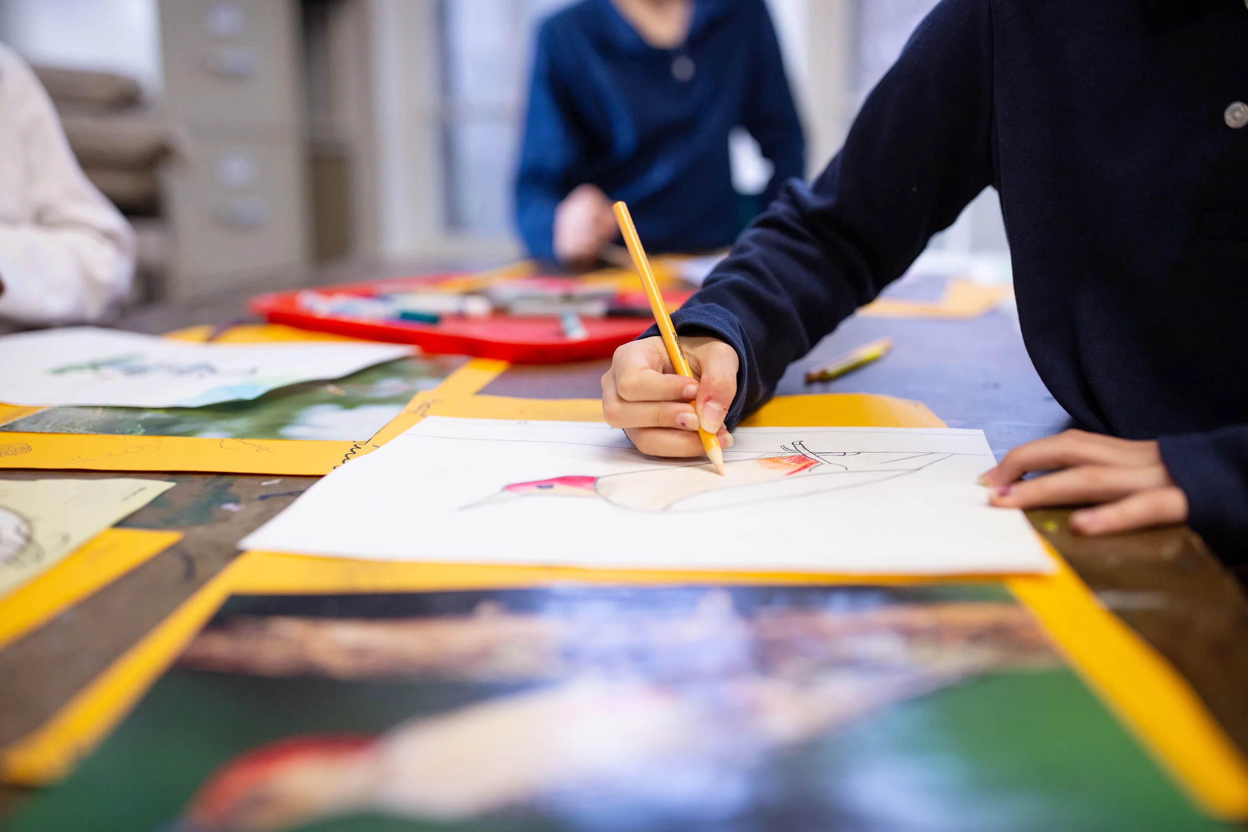 ArtClass_bird.jpg