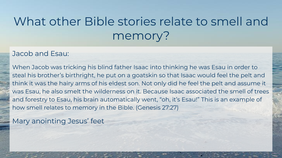   Carleigh Zarchin   |   Our Scent-imental Nature: How Smell Relates to Memory &amp; the Bible  