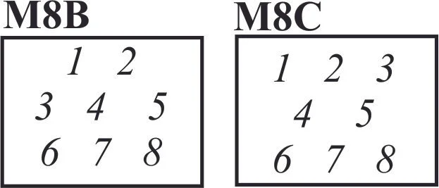 8B 8C.jpg