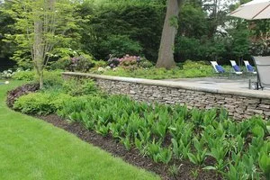 Tips for Making the Choice Between "Landscapers Near Me" in the Arlington, MA Area