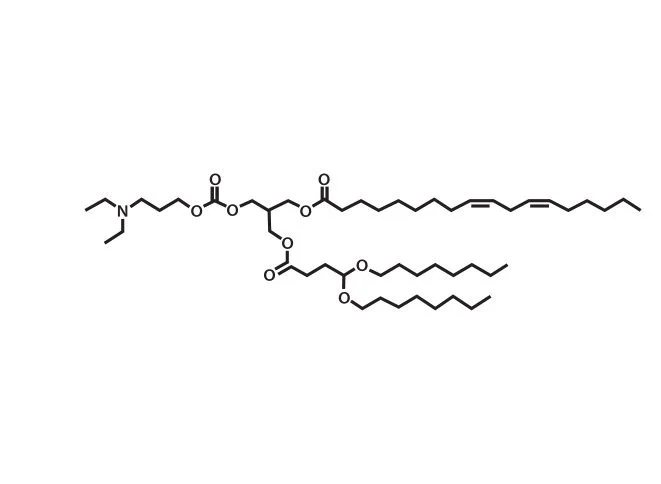 LP-01 (O-10561)