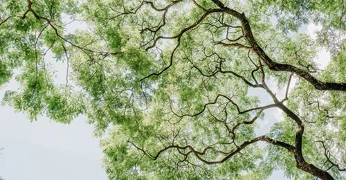 Banner new contact us.jpeg