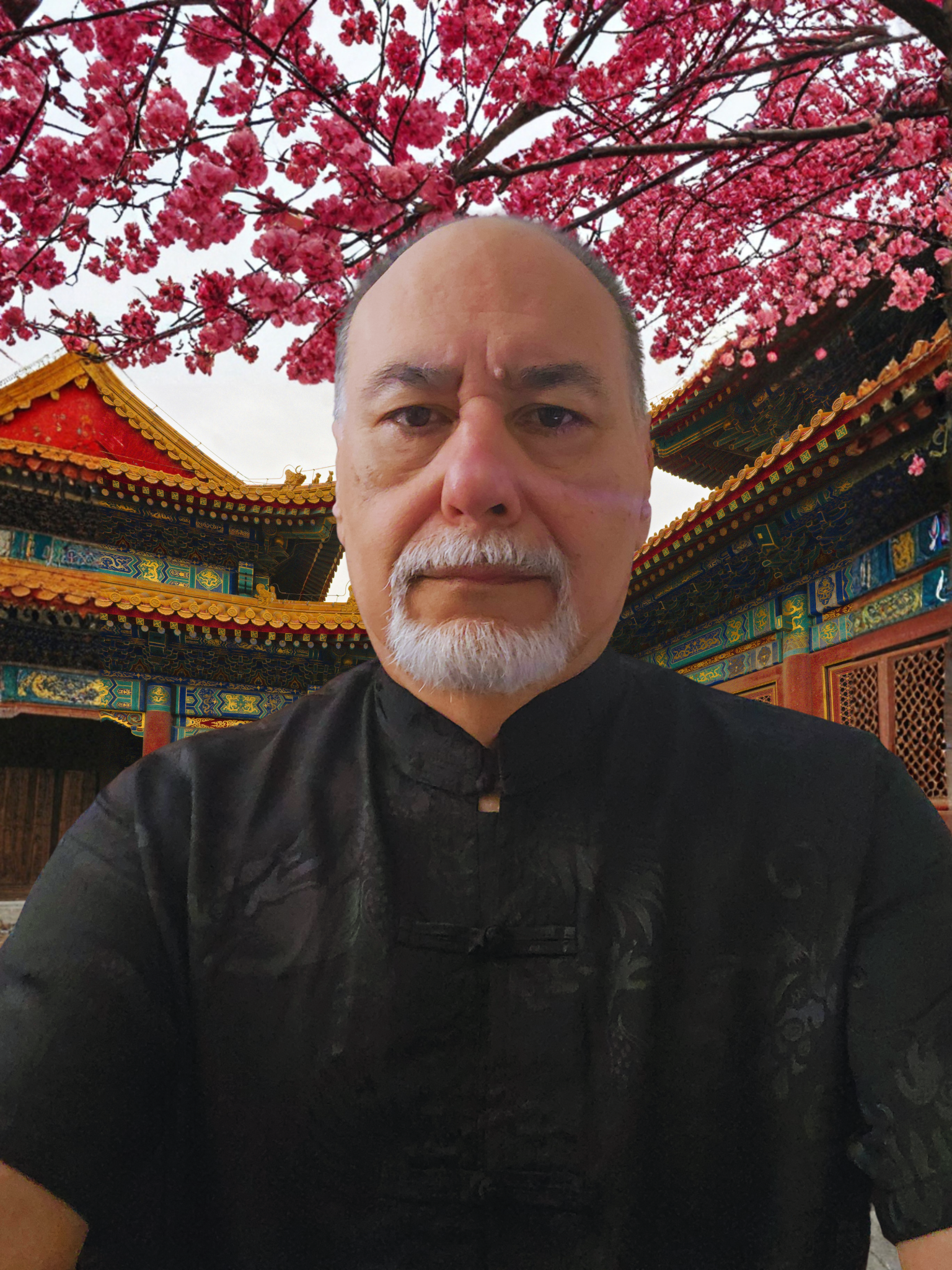 Shifu Francisco E. Alvarez