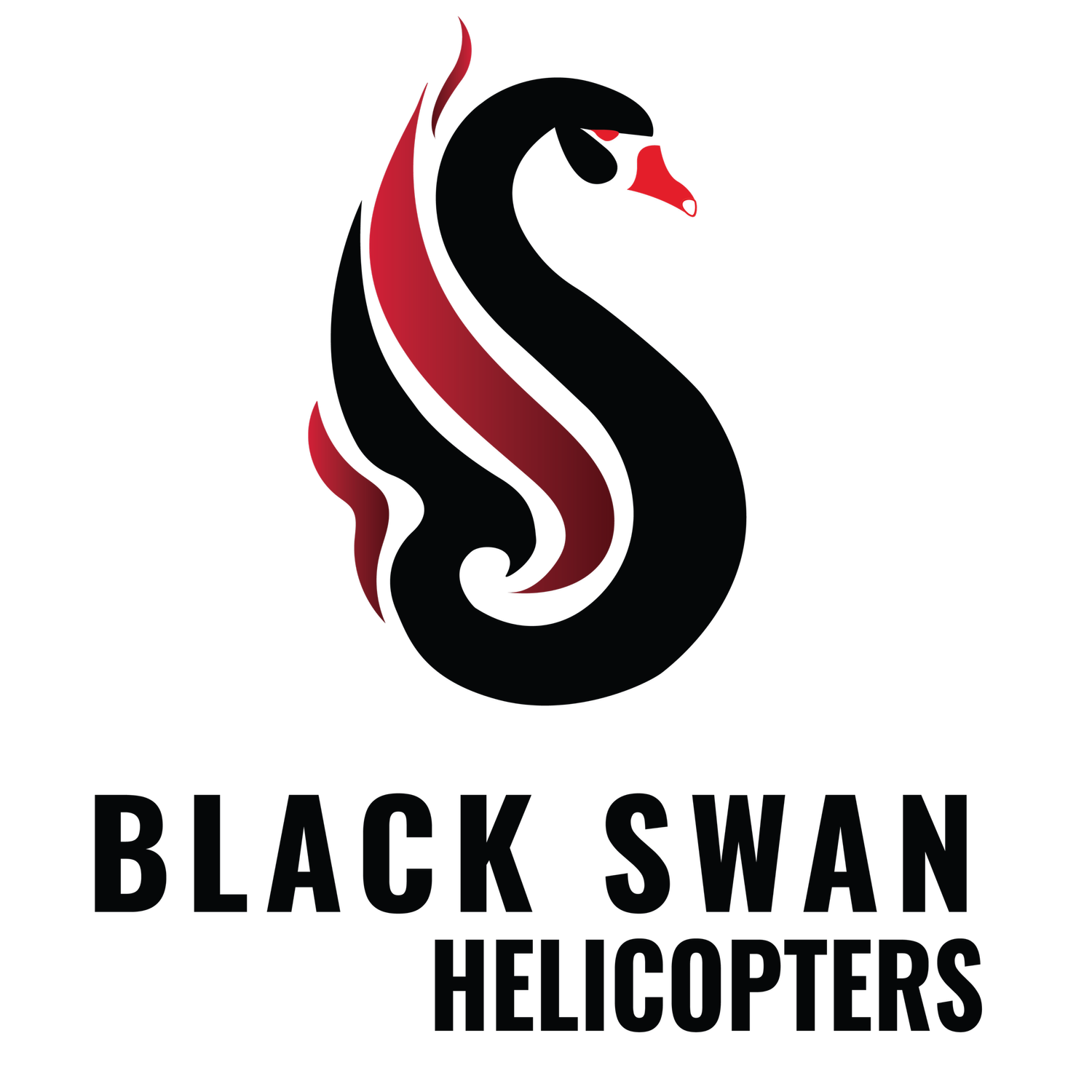 Black Swan Helicopters