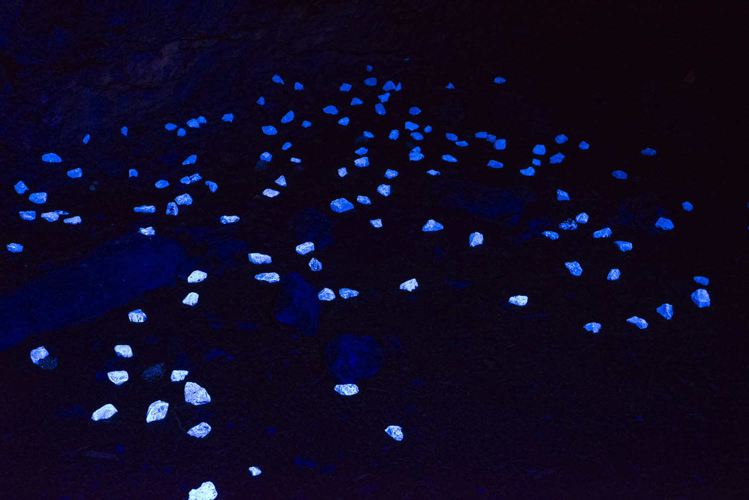 DSC_6464.jpg