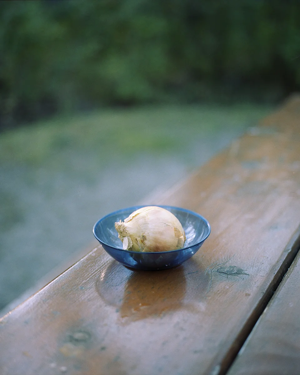 13_onion in blue bowl4x5.jpg