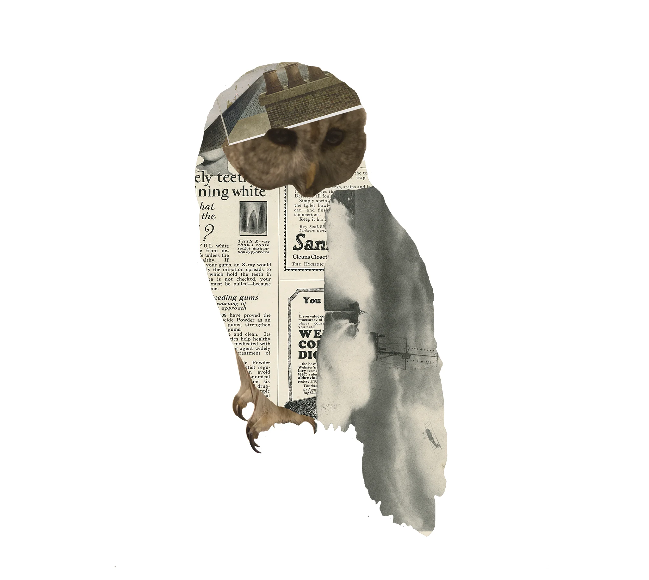 Birds and Books (2016)
