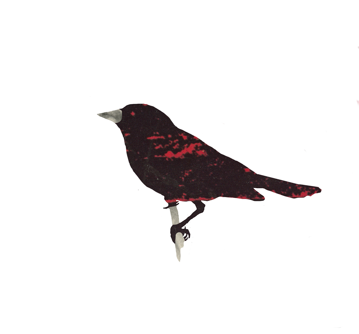 12_redwingedblackbird_7x6.5.jpg