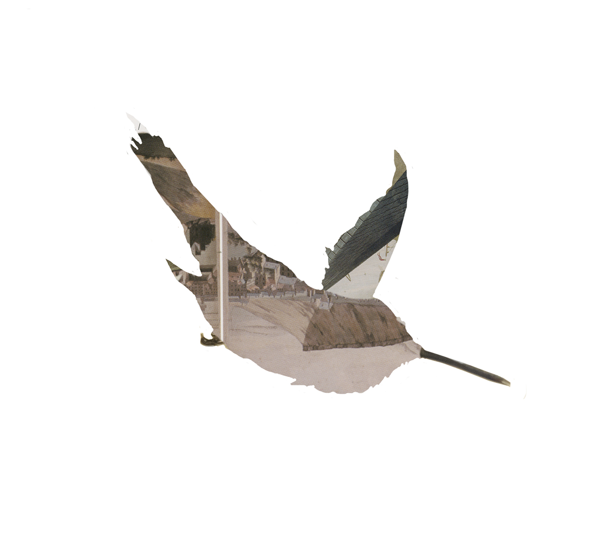 15_hummingbird_collage.jpg