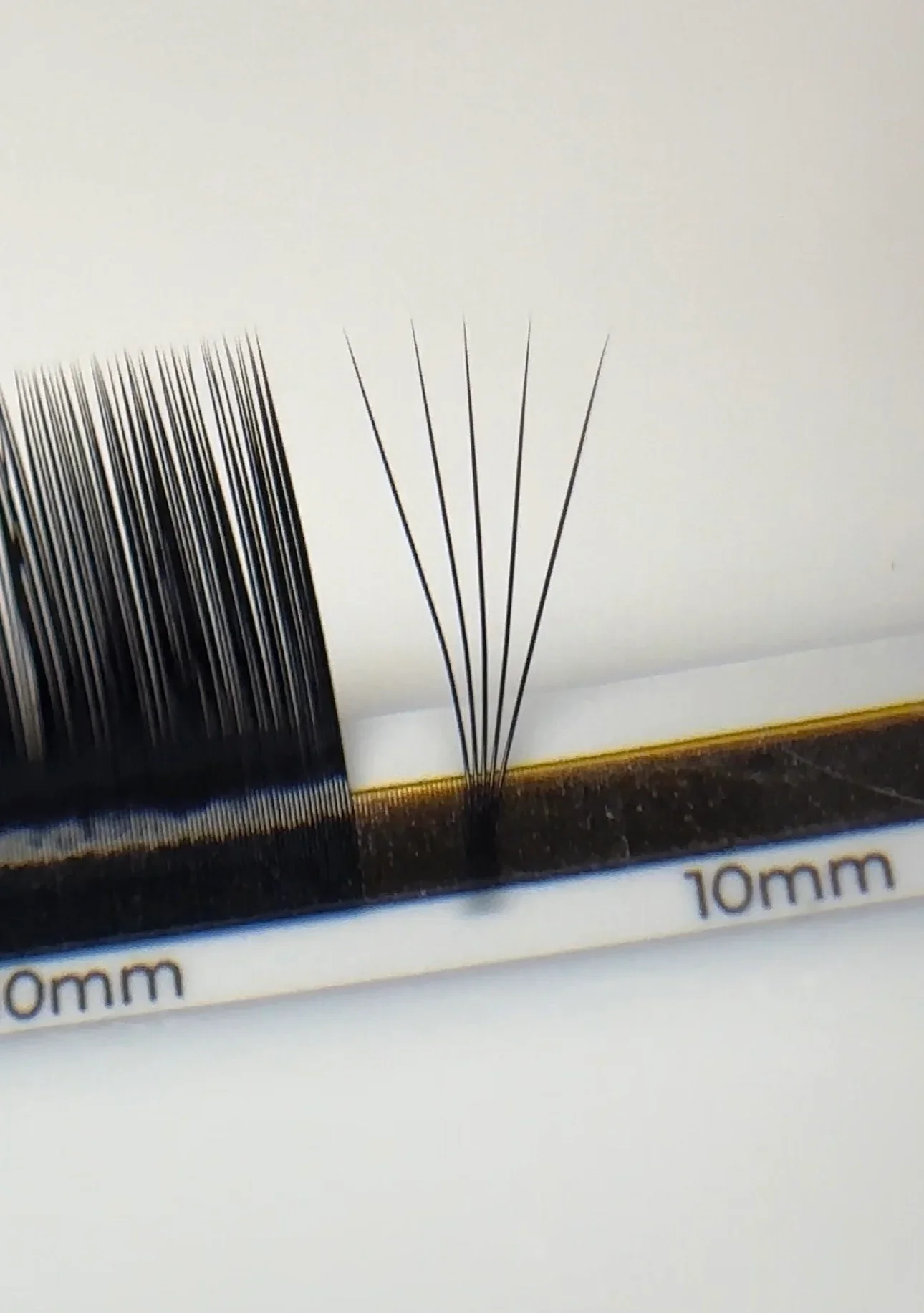 volume-fan-essentials-black-lash-extensions.webp