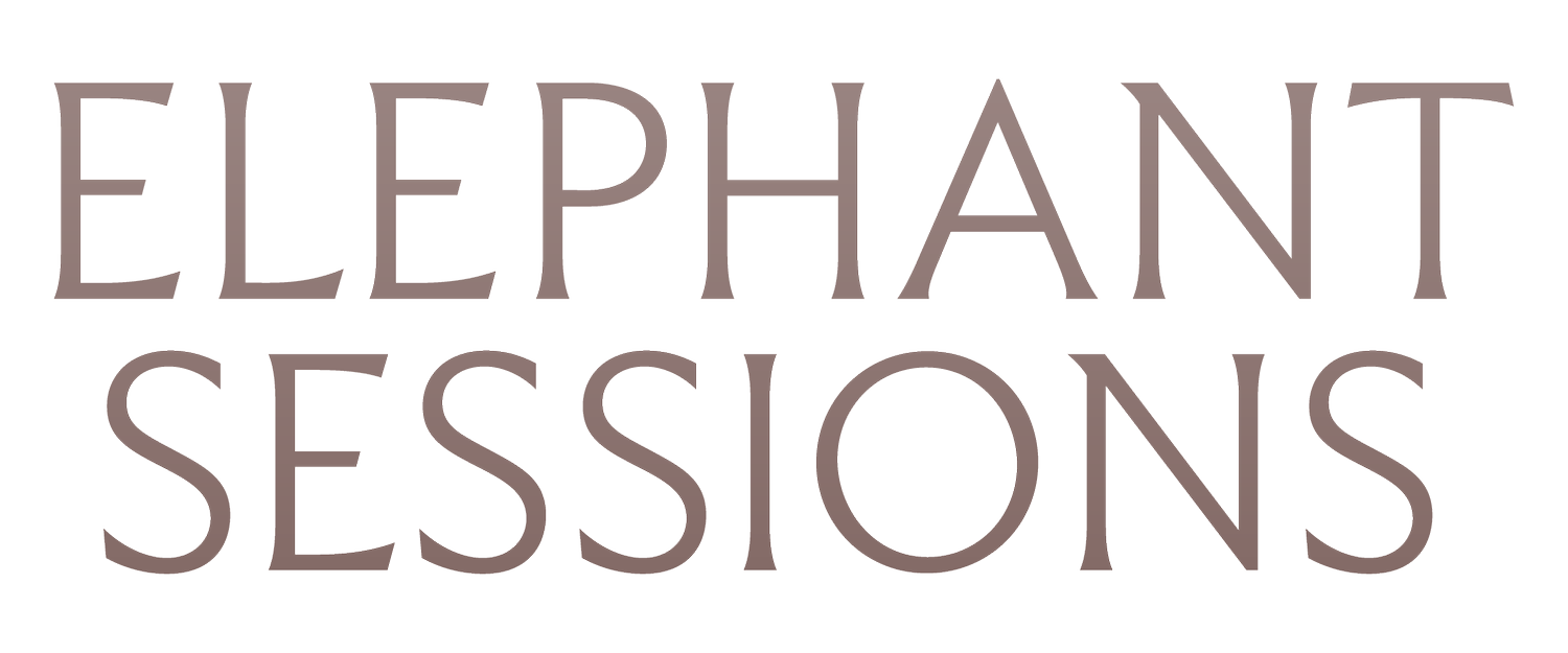 ELEPHANT SESSIONS