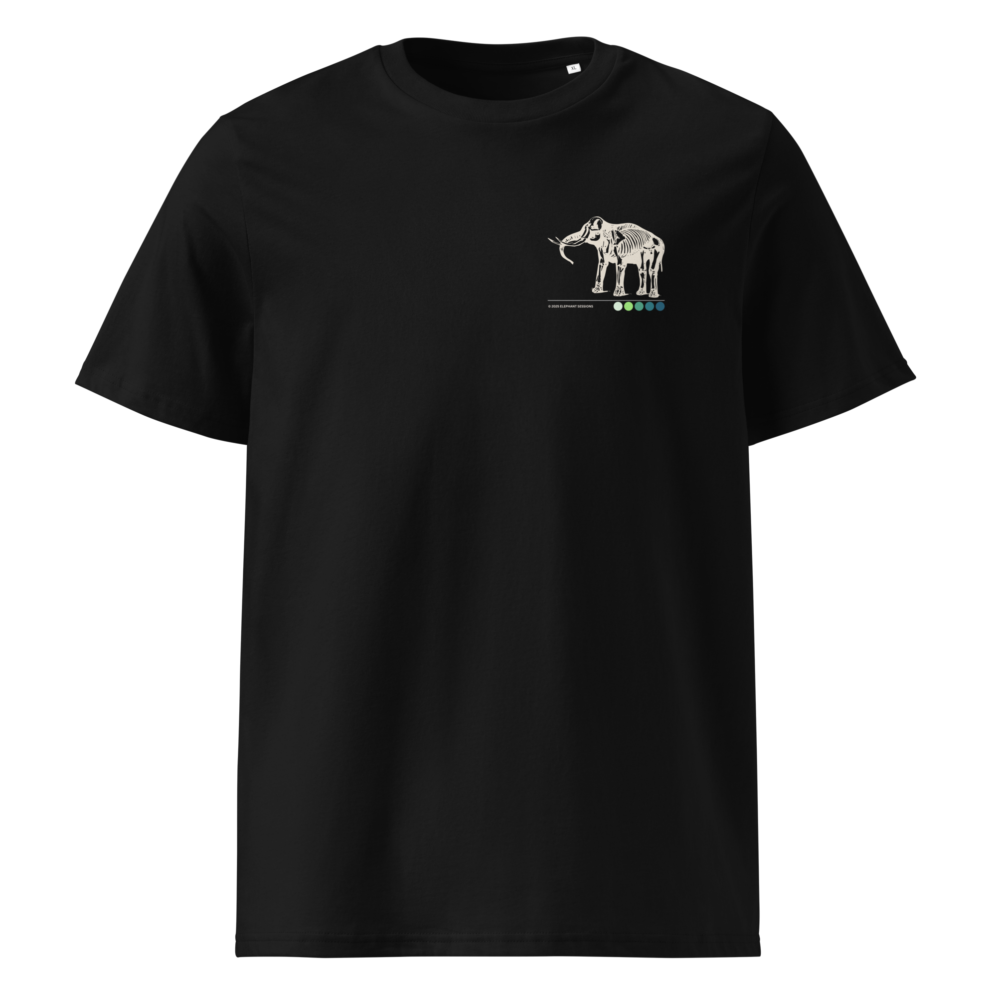 unisex-organic-cotton-t-shirt-black-front-691a284b17494.png