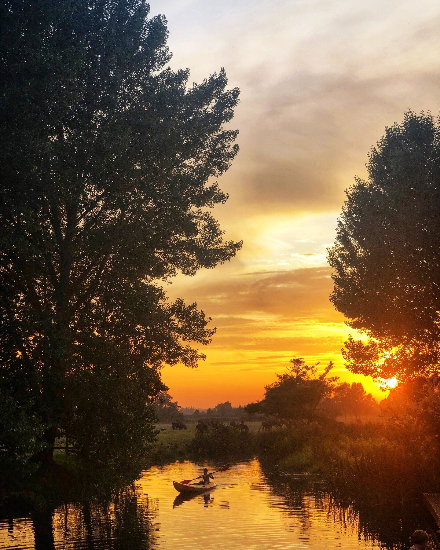 The ultimate sunset paddle. You can hire a canoe and paddle to the Anchor Inn, Nayland. We are taking bookings now for early May bank holiday.