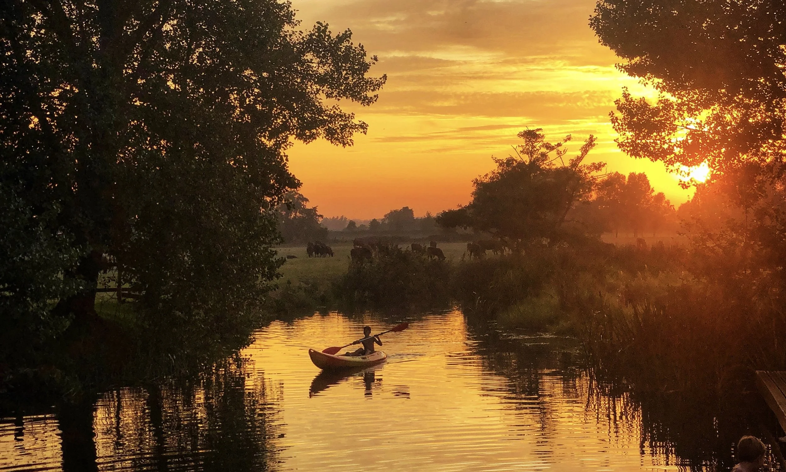 Sunset.JPG