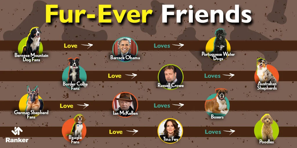 What Celebrity Has The Most Dogs