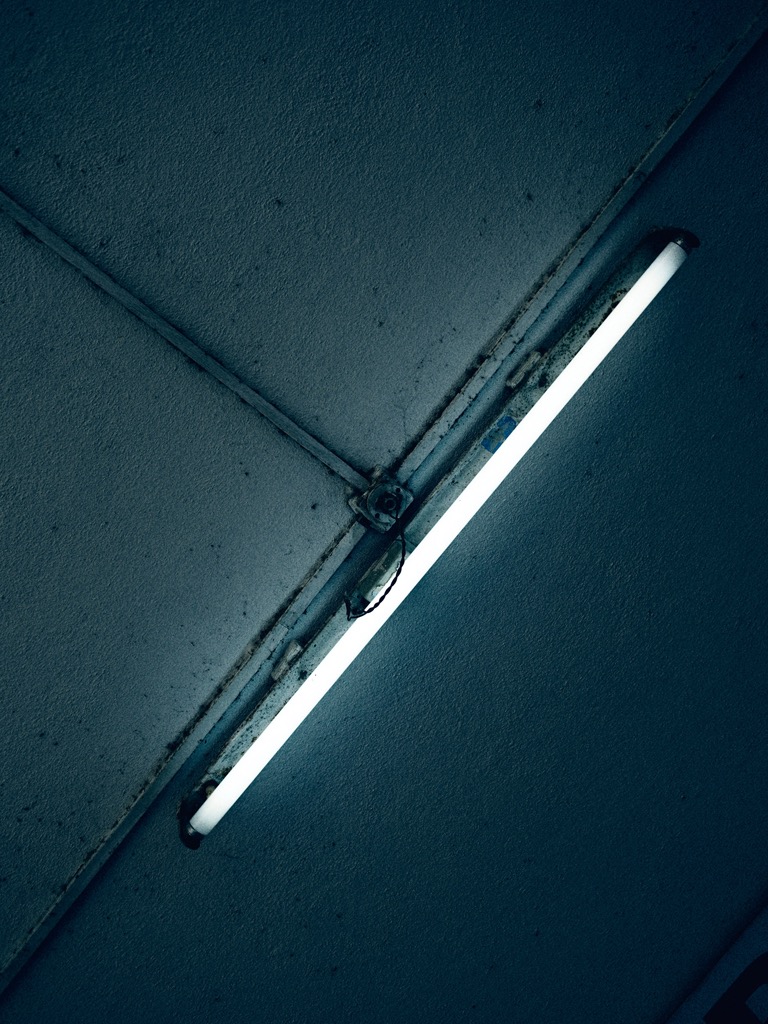 _K8T2466.jpg