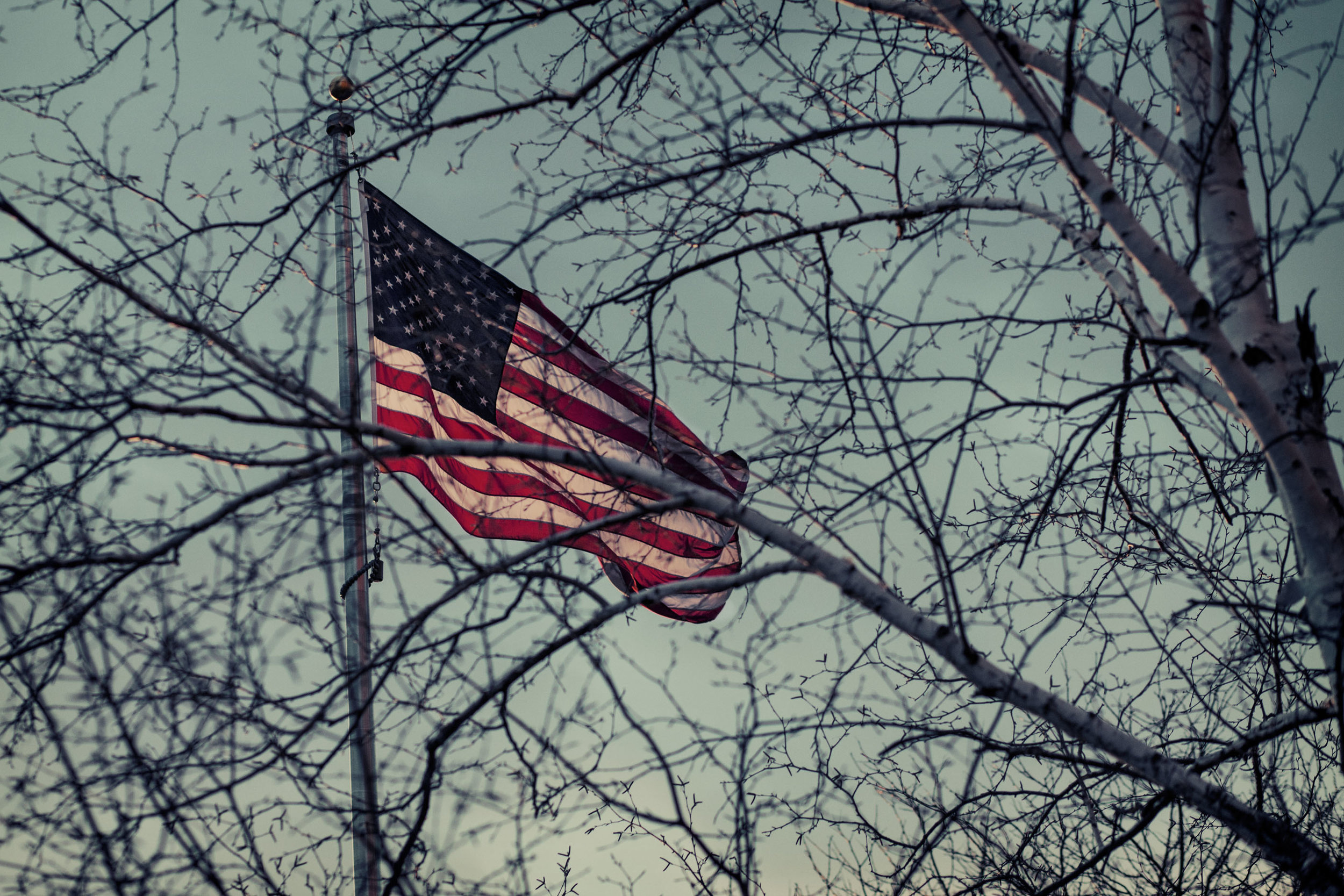 _MG_6451.jpg