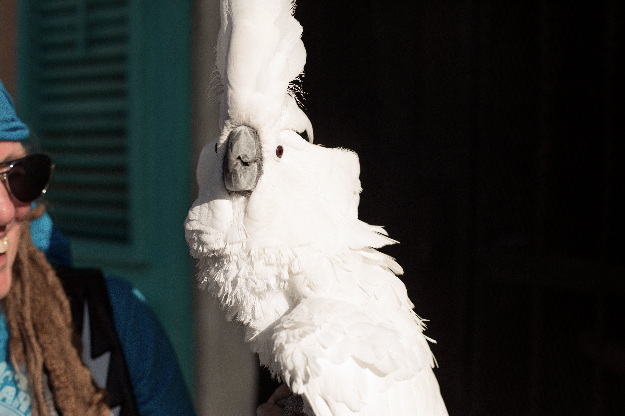 NOLA_2014-553.jpg