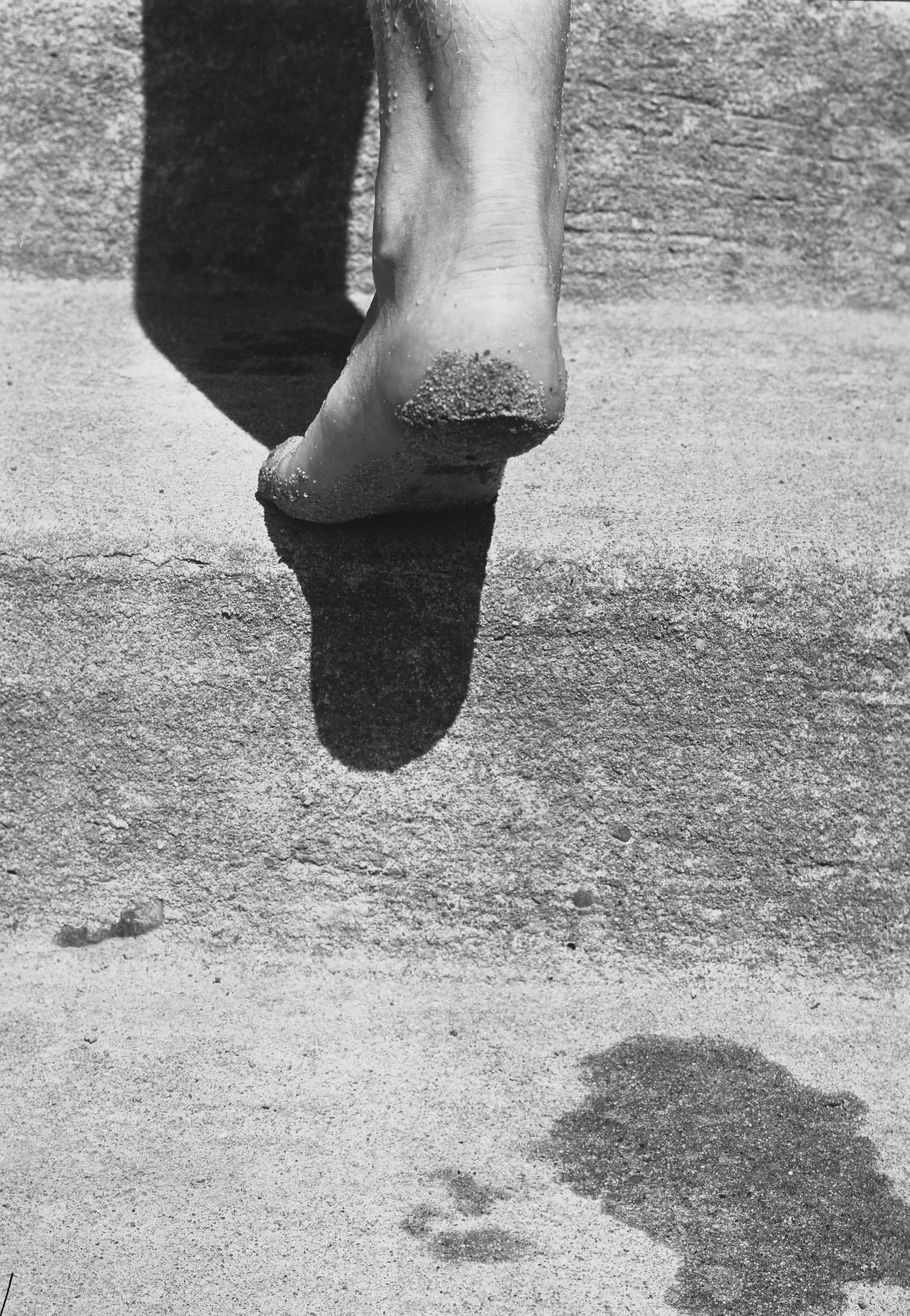Foot.jpg