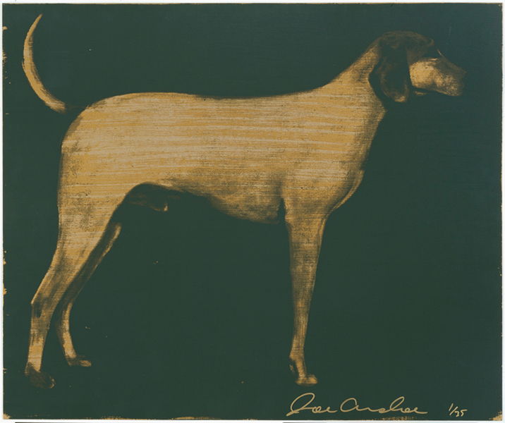 MEDIUM DOGS (2/3)