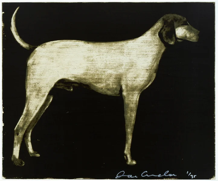 MEDIUM DOGS (3/3)