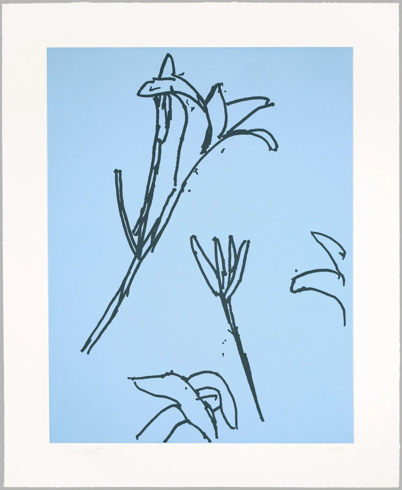 lilies4.jpg