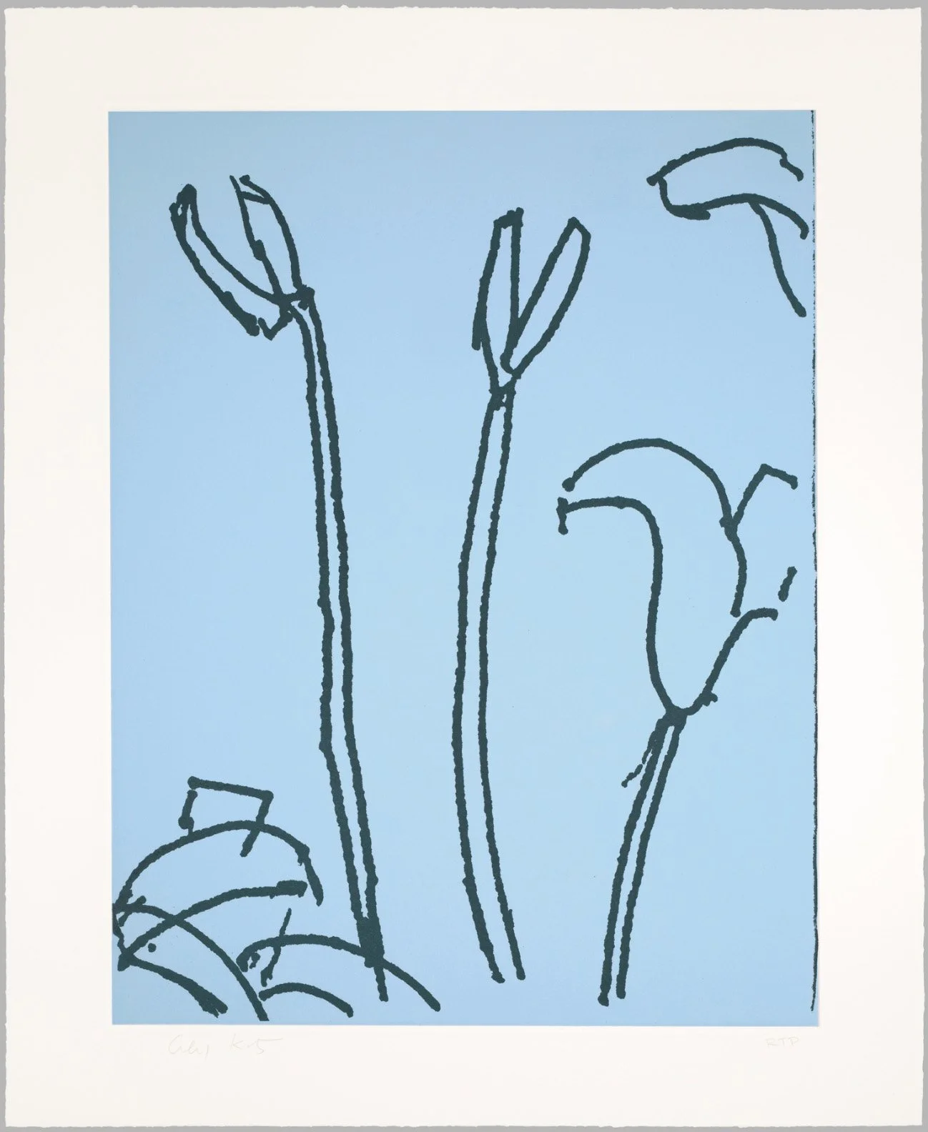lilies7.jpg