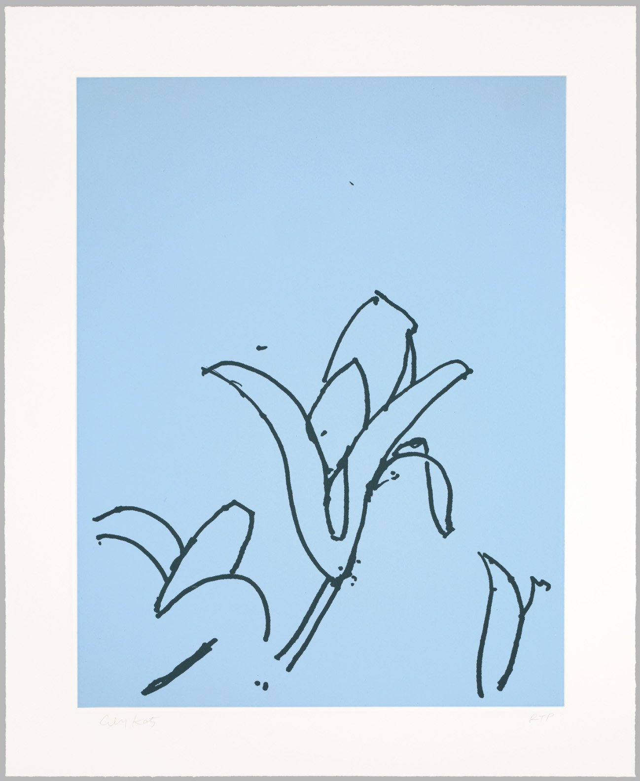 lilies5.jpg